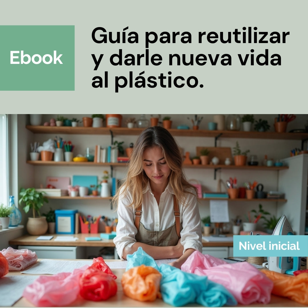 Ebook: aprende a reutilizar plásticos y comienza a crear (nivel básico)