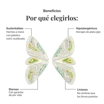 Aros Mariposa