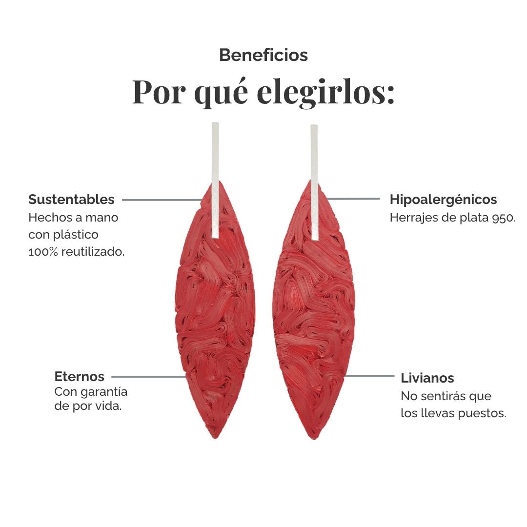 Aros Sofía