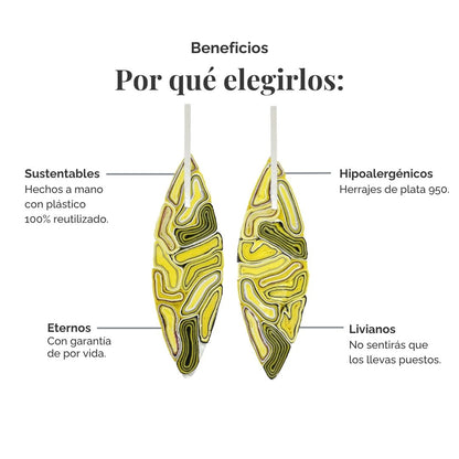 Aros Sofía